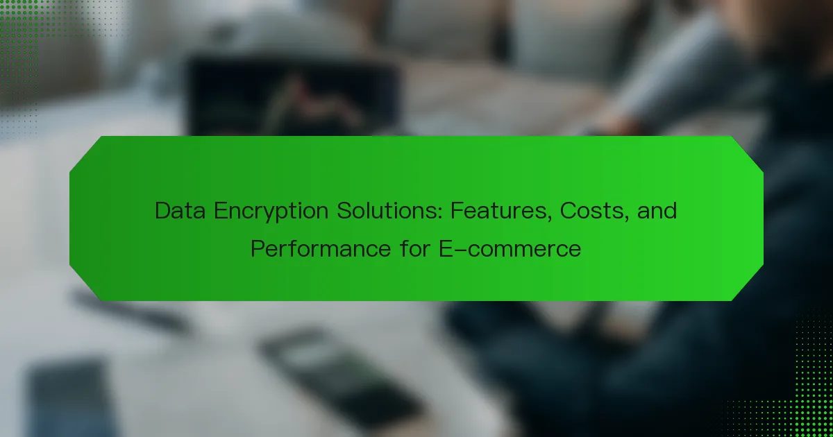 数据加密解决方案：电子商务的功能、成本和性能
